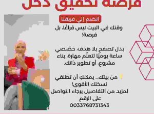 آني أمنة الهمامي مستثمر عالمي ابحث عن شركاء