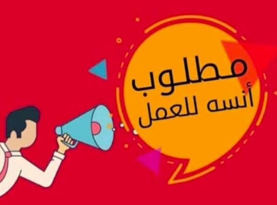 مطلوب بنات سيلز للعمل من المنزل تسويق عقارى