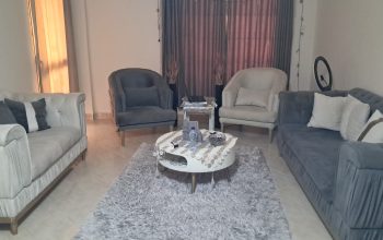 اننريه استعمال خفيف