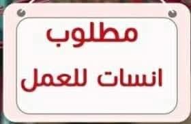 مطلوب فورا بنات للعمل من المنزل شركة عقارات