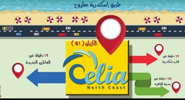 قريه سيليا