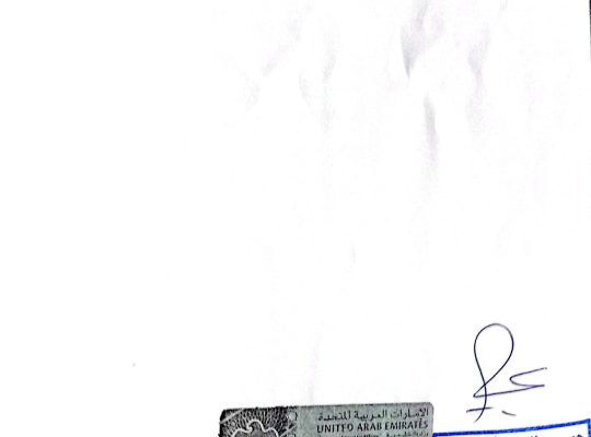 خريج تقنية معلومات