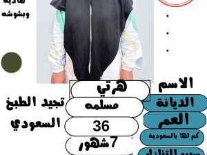 متوفر ومطلوب خادمات نقل كفالة من جميع الجنسيا