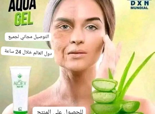 آني أمنة الهمامي مستثمر عالمي ابحث عن شركاء
