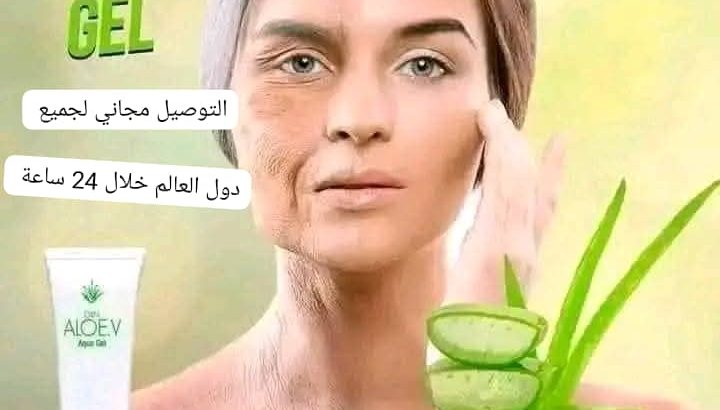 آني أمنة الهمامي مستثمر عالمي ابحث عن شركاء