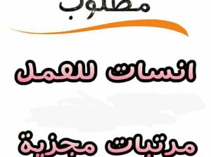 مطلوب بنات للعمل من المنزل  شركة تسويق عقارى
