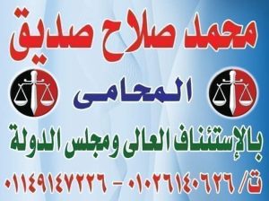 ابحث عن عمل في مدارس خاصة أو دولية