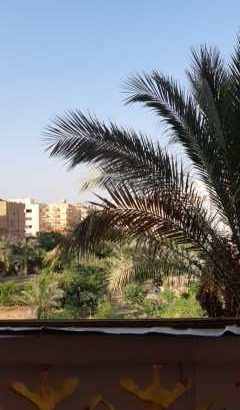 شقه للايجار من المالك مباشر