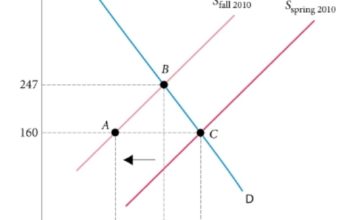مدرس اقتصاد وبحوث عمليات واحصاء  للجامعات