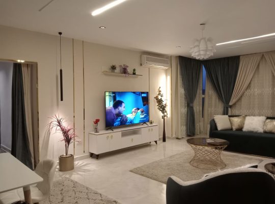 شقة فندقية للايجار اليومى بالمهندسين
