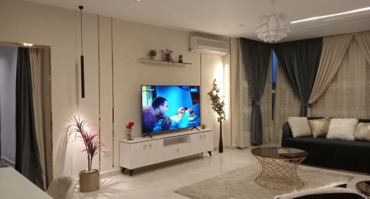 شقة فندقية للايجار اليومى بالمهندسين