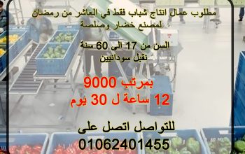 مطلوب عمال انتاج لمصنع خضار و صلصة بالعاشر من