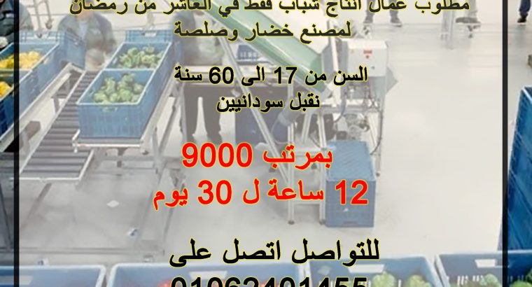 مطلوب عمال انتاج لمصنع خضار و صلصة بالعاشر من