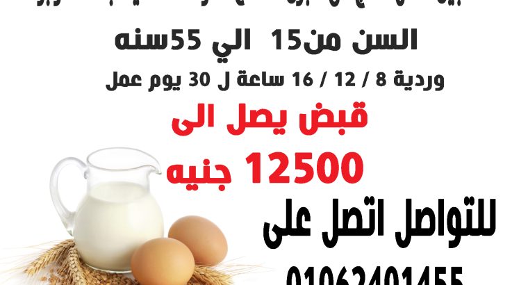 مطلوب فى كبرى المصانع الغذائية ٦ اكتوبر