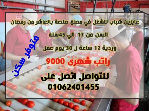 مطلوب عمال تعبئة و تغليف مصنع صلصة