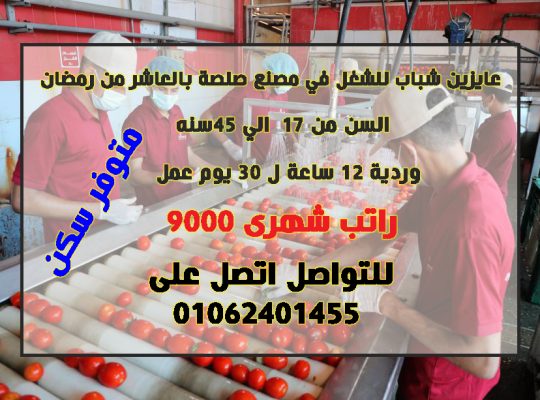 مطلوب عمال تعبئة و تغليف مصنع صلصة