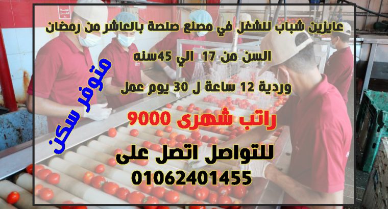 مطلوب عمال تعبئة و تغليف مصنع صلصة