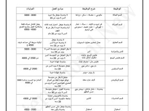 عمال من غير مؤهل ولا خبره