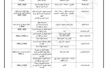 عمال من غير مؤهل ولا خبره