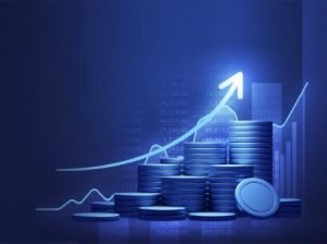 الأول كابيتال للاستشارات و الخدمات المالية