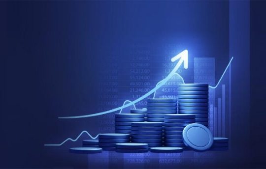 الأول كابيتال للاستشارات و الخدمات المالية