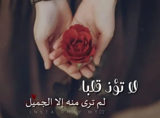 أنا بحاجه الى شغل على الاستعداد العناية بسيده مسنه ومرافقتها 0775143988