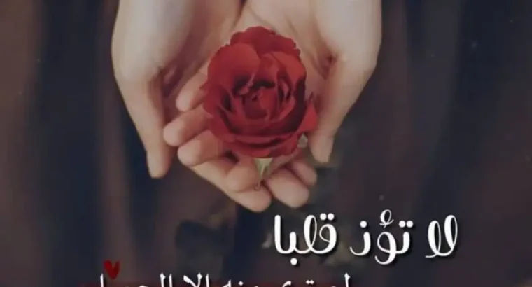 أنا بحاجه الى شغل على الاستعداد العناية بسيده مسنه ومرافقتها 0775143988