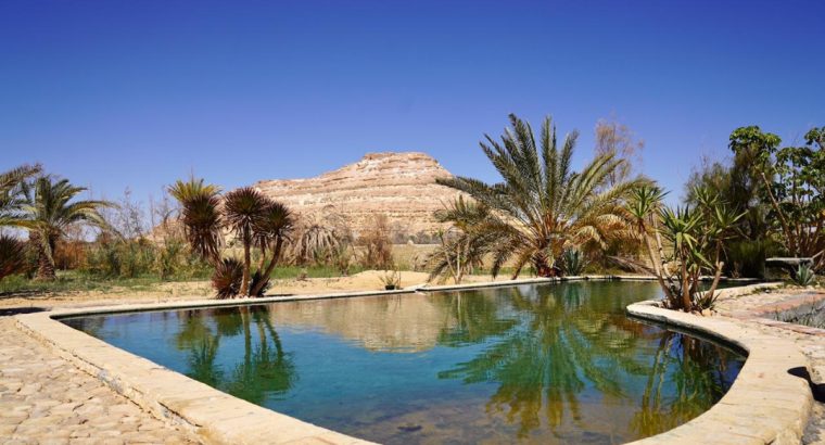 بيع فيلا وعدد ٢ شاليهات منفصلة
