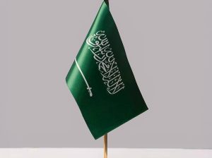 تخليص معامله التجنيس