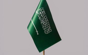 تخليص معامله التجنيس