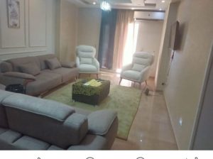 شقه فندقيه مفروشه للايجار عباس العقاد