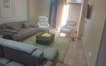 شقه فندقيه مفروشه للايجار عباس العقاد