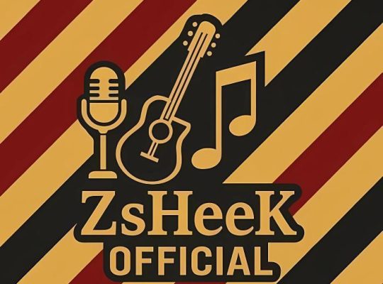 تسجيل اغنية او ديمو بأسعار مناسبة