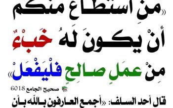 ماء مقرؤ وزيت الزيتون مقرؤ مجانآ