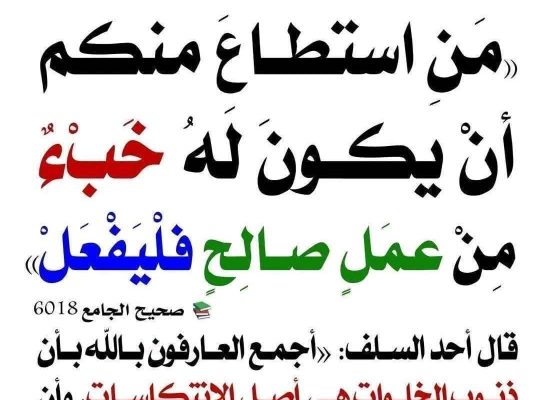 ماء مقرؤ وزيت الزيتون مقرؤ مجانآ