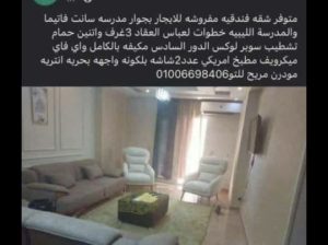 شقه فندقيه مفروشه للايجار خلف بنك مصر