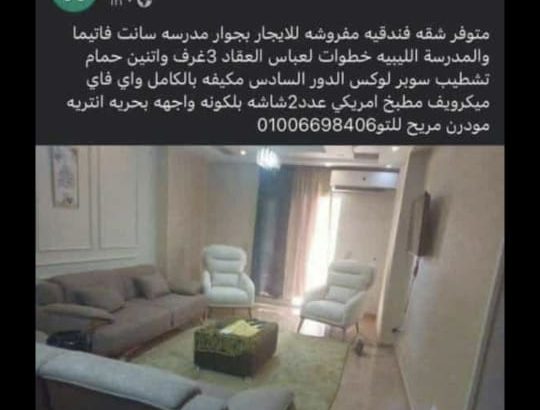 شقه فندقيه مفروشه للايجار خلف بنك مصر