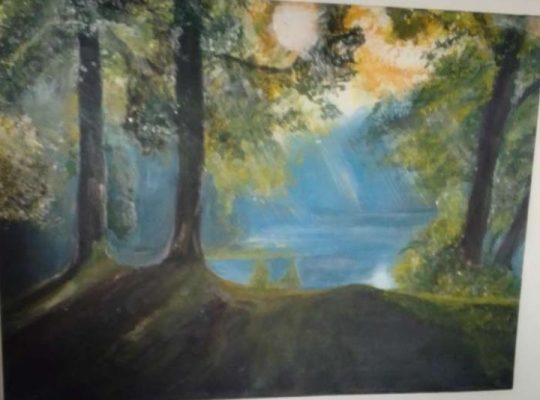 لوحات رسم ريشه للبيع