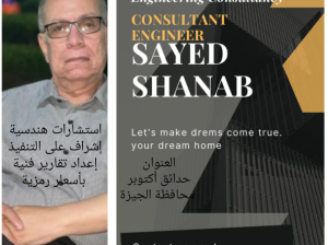 استشارى هندسة مدنية وإشراف على التنفيذ