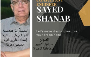 استشارى هندسة مدنية وإشراف على التنفيذ