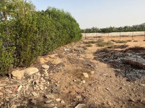 ارض زراعية في كمباوند المنصورية جاردن في ابو