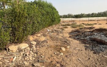 ارض زراعية في كمباوند المنصورية جاردن في ابو