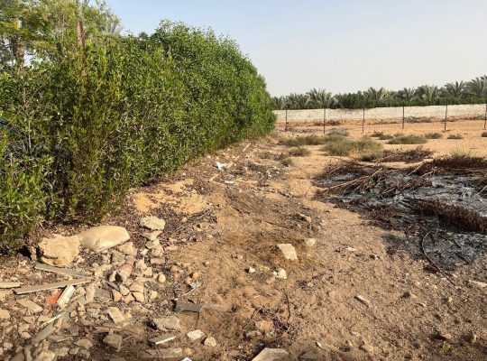 ارض زراعية في كمباوند المنصورية جاردن في ابو