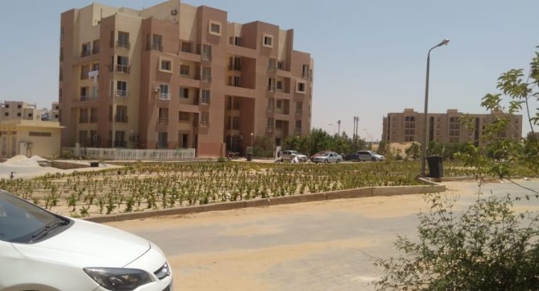 شقة للبيع من المالك أرضي بمدخل خاص
