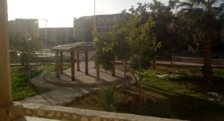 شقه بالشيخ زايد حي ١٦ مجاورة ٤ فيو حديقة كبير