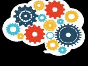 قدرات تأسيس وتدريب كمى الاجاويد والسنابل