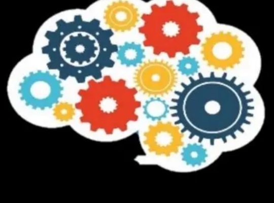 قدرات تأسيس وتدريب كمى الاجاويد والسنابل