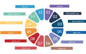 الماجستير المهنى التنفيذى بشهادة معتمده