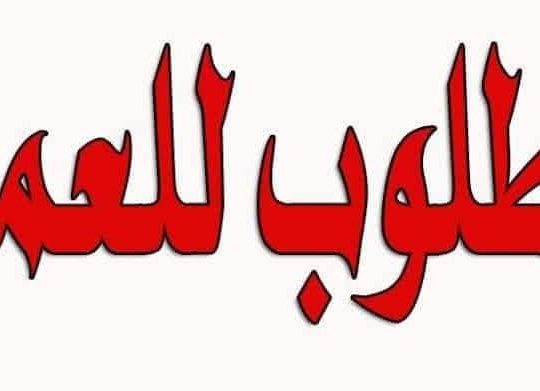مطلوب فورا شباب للعمل  ضمن فريق المبيعات