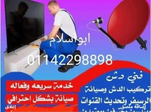 فني دش في الجيزة